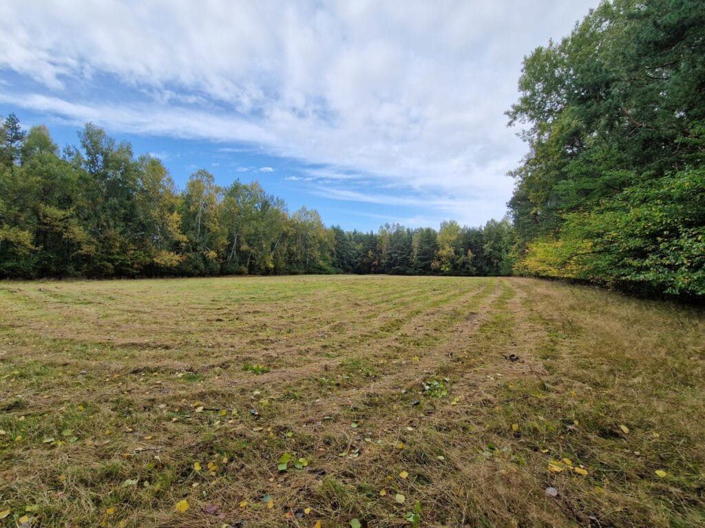 3 działki z WZ o pow. od 3.001 m2 - 3.848 m2  |  Buczek - zdjęcie