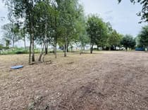 Działka budowlana z drzewami liściastymi i zielenią wokół — Czyżeminek 1910 m²