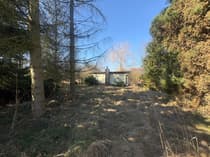 Teren działki z domkiem letniskowym i drzewami iglastymi — Grzybów