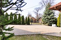 Utwardzony podjazd brukowy z tujami i drzewami iglastymi — Swędów łódzkie