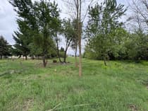 Działka na sprzedaż Chociw - zdjęcie 5