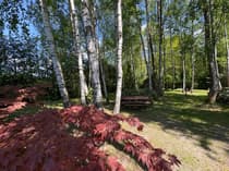 Działka na sprzedaż Kiki — 2312 m² - zdjęcie 10