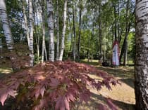 Działka na sprzedaż Kiki — 2312 m² - zdjęcie 14