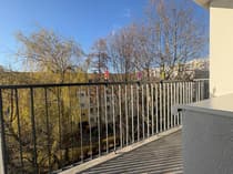 Balkon z widokiem na drzewa i osiedle w dzielnicy Bałuty w Łodzi