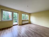 Dom 5-pokojowy na sprzedaż Widawa — 185 m² - zdjęcie 3