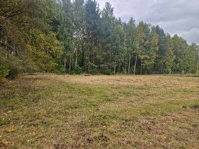 Działki na sprzedaż Buczek - zdjęcie