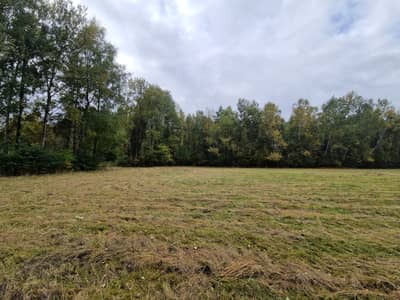 Działki na sprzedaż Buczek - zdjęcie