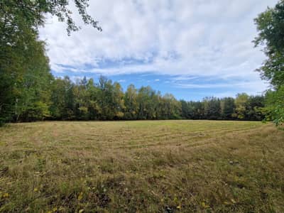 Działki na sprzedaż Buczek - zdjęcie