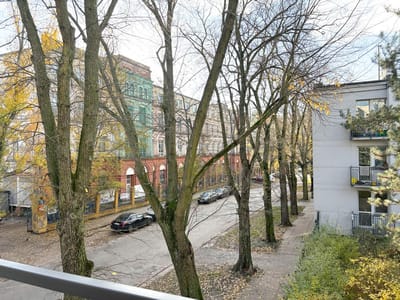 Widok z balkonu w Śródmieściu Łodzi na cichą, wysadzaną drzewami ulicę z zaparkowanymi samochodami, gołymi gałęziami drzew i kolorowymi apartamentowcami - idealny dla osób szukających mieszkania na sprzedaż. biuro nieruchomości