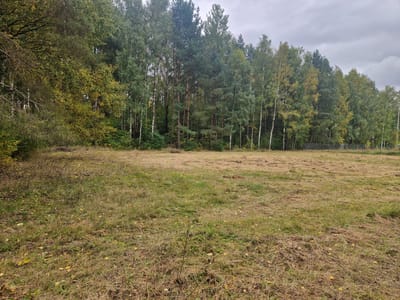 Działki na sprzedaż Buczek - zdjęcie