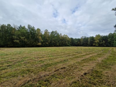 Działki na sprzedaż Buczek - zdjęcie