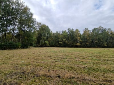 Działki na sprzedaż Buczek - zdjęcie