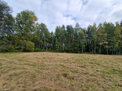 Działki na sprzedaż Buczek - zdjęcie