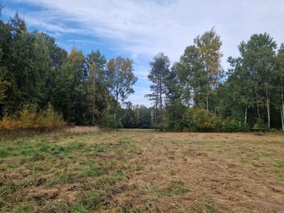 Działki na sprzedaż Buczek - zdjęcie