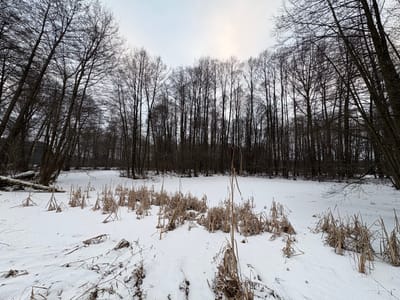 Działka na sprzedaż Madaje Nowe - zdjęcie