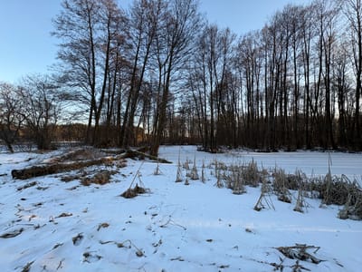 Działka na sprzedaż Madaje Nowe - zdjęcie