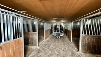 Dom wolnostojący 148 m2  |  Działka 4 028 m 2  |  Gołębice