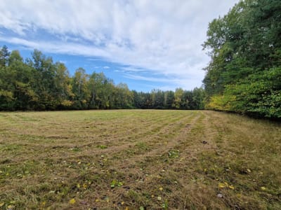 3 działki z WZ o pow. od 3.001 m2 - 3.848 m2  |  Buczek - zdjęcie