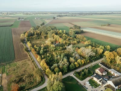 Widok z lotu ptaka na zalesiona dzialke - Dzialka na sprzedaz Kwiatkowice | CI OD NIERUCHOMOSCI