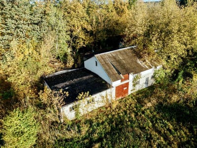 Działka o pow. 3 ha  |  Kwiatkowice Poduchowne