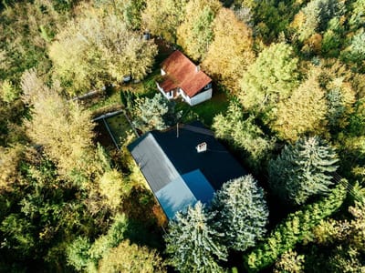 Działka o pow. 3 ha  |  Kwiatkowice Poduchowne