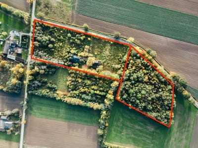 Działka o pow. 3 ha  |  Kwiatkowice Poduchowne - zdjęcie