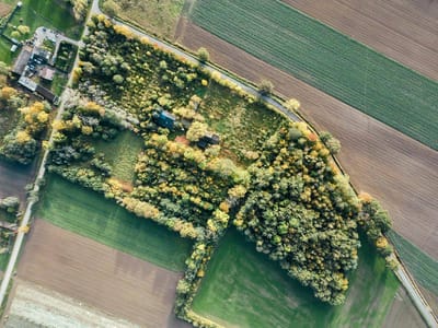 Działka o pow. 3 ha  |  Kwiatkowice Poduchowne