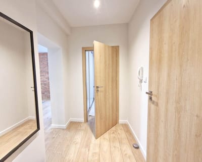 Jasny przedpokój w mieszkaniu na sprzedaż Łódź Śródmieście Tuwima ma jasne drewniane podłogi, białe ściany i troje drzwi. Jedne drzwi prowadzą do pokoju z ceglaną ścianą. Duże lustro zdobi lewą ścianę w pobliżu domofonu. biuro nieruchomości