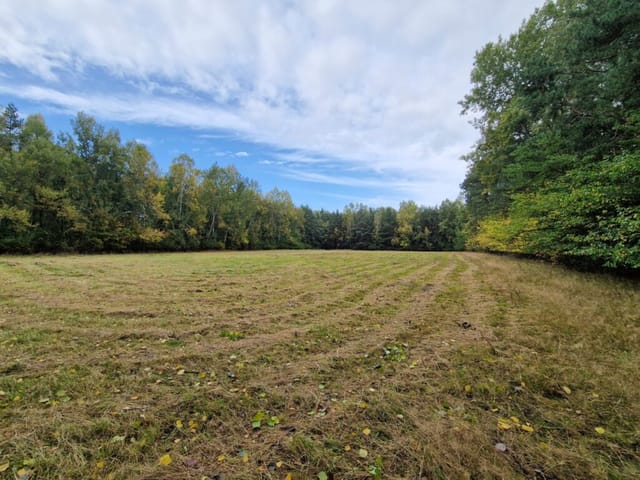 3 działki z WZ o pow. od 3.001 m2 - 3.848 m2  |  Buczek