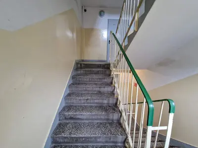 Betonowe schody z nakrapianymi stopniami i zieloną poręczą — klatka schodowa budynku