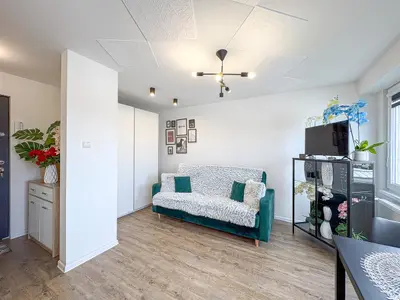 Salon z zieloną sofą, telewizorem i roślinami — jasne wnętrze kawalerki w Zduńskiej Woli