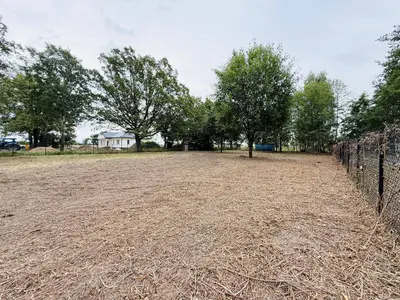 Płaska niezabudowana działka z drzewami i domkiem w tle — Czyżeminek, pow. pabianicki