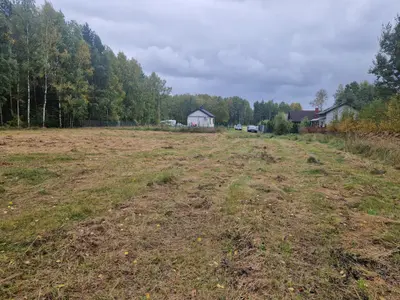 Teren działki z sąsiednimi zabudowaniami w tle i mieszanym lasem — Buczek