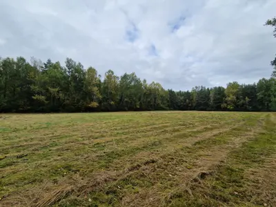 Skoszony teren działki z szerokim pastwiskiem i linią lasu na horyzoncie