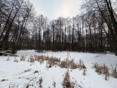 Działka na sprzedaż Madaje Nowe - zdjęcie