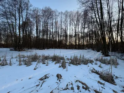 Działka na sprzedaż Madaje Nowe - zdjęcie
