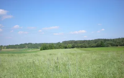 Dziaka na sprzedaż Klęk - zdjęcie