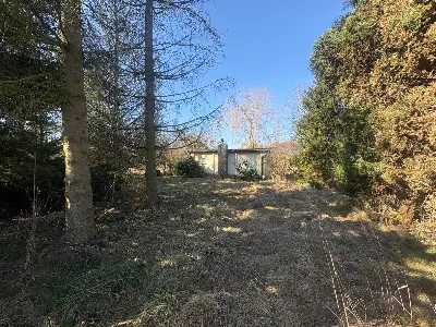 Teren działki z domkiem letniskowym i drzewami iglastymi — Grzybów