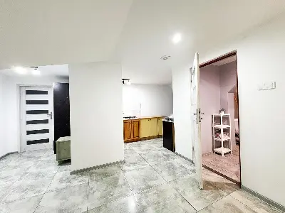 Przestrzeń poddasza z widokiem na aneks kuchenny i łazienkę