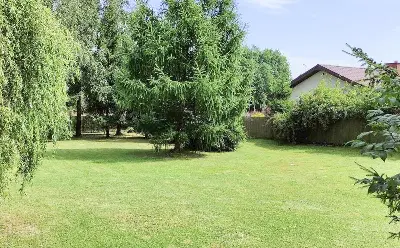 Zielony ogród z trawnikiem i ozdobnymi drzewami — dom na sprzedaż Swędów