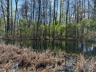 Działka na sprzedaż Madaje Nowe - zdjęcie 6