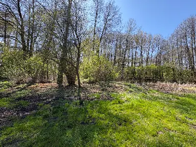 Działka na sprzedaż Madaje Nowe - zdjęcie 7