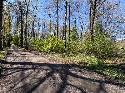 Działka na sprzedaż Madaje Nowe - zdjęcie 8