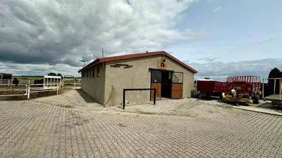 Budynek gospodarczy na działce z wejściem garażowym i kostką brukową na podwórzu