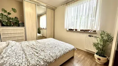 Sypialnia z łóżkiem małżeńskim, szafą przesuwną z lustrem i roślinami zielonymi