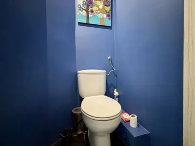 Oddzielna toaleta z niebieską ścianą i białą miską wiszącą w kamienicy przy Kościuszki
